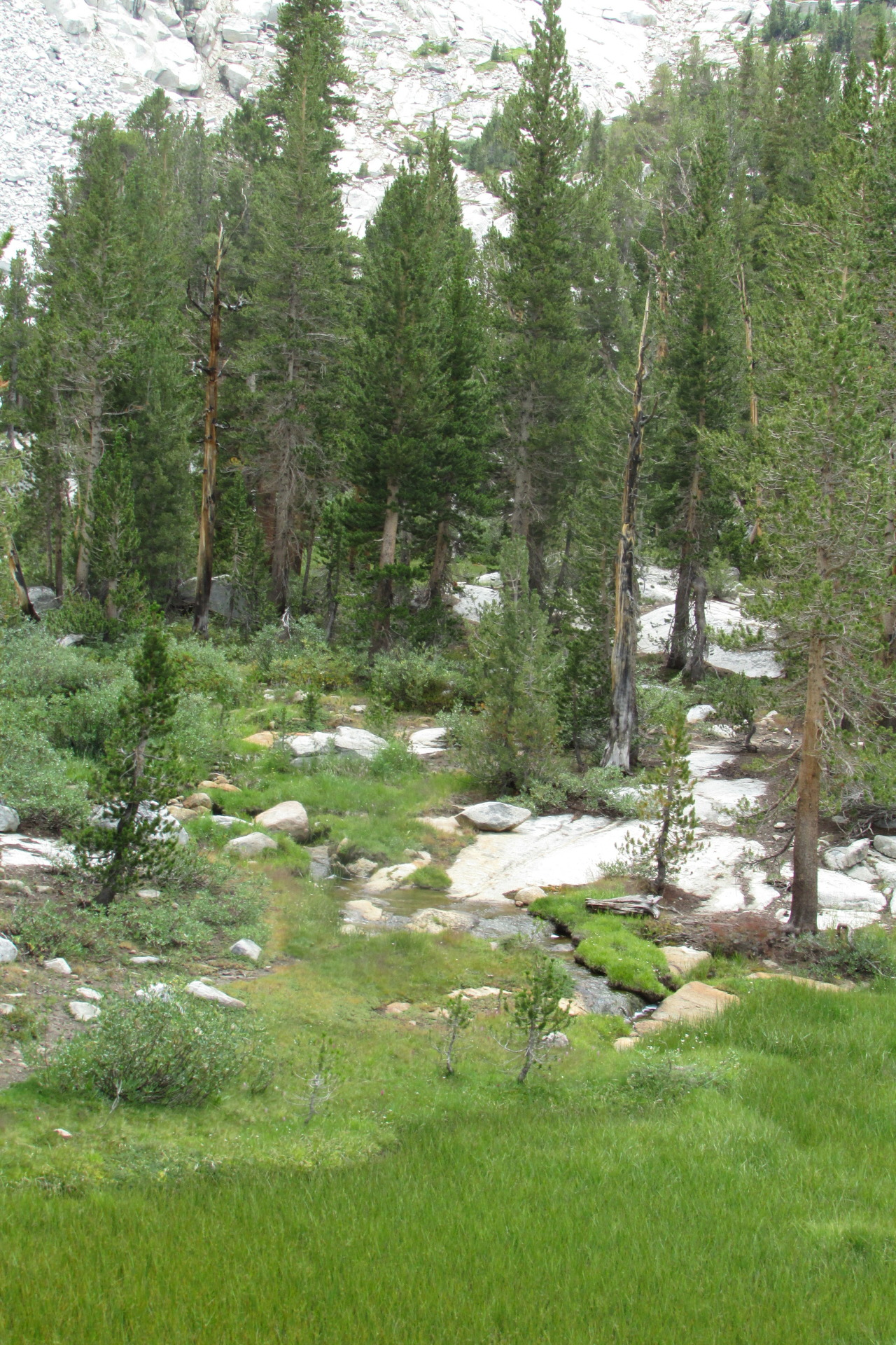 letsbeforestfriends:  backpacking is the best.
