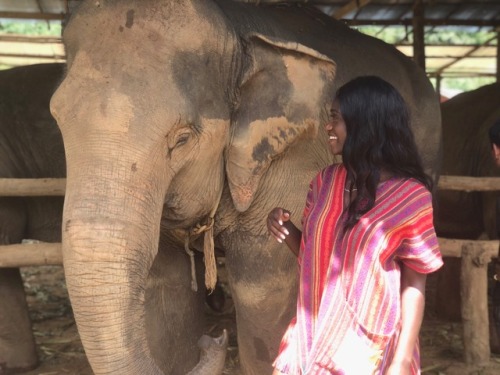 onetwo-t:Feeding the most majestic creatures in Chiang Mai, Thailand