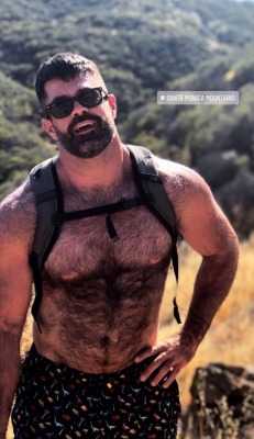 GAY BEAR FOR CHASERS