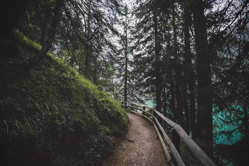 covered-with-mist:  http://covered-with-mist.tumblr.com/ 