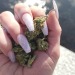 indica-illusions:so pretty // 