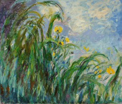 dappledwithshadow:  Yellow Irises, Claude Monet c.1914-1917 