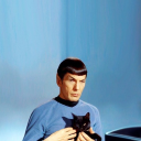 s-chn-tgai-spock avatar