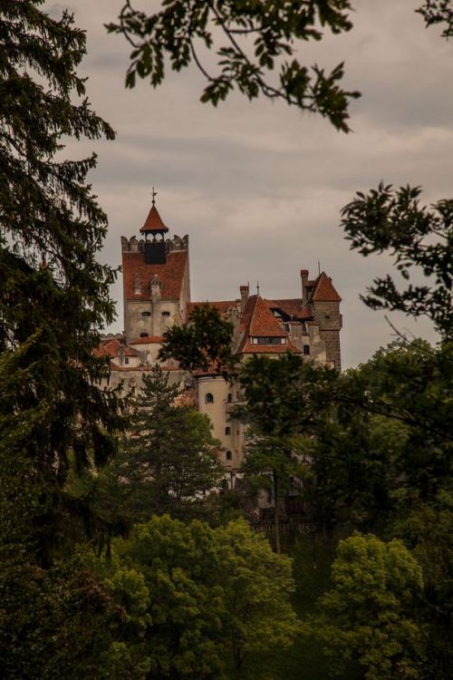 Bran Castle, Transylvania / Romania (by Cinty Ionescu).