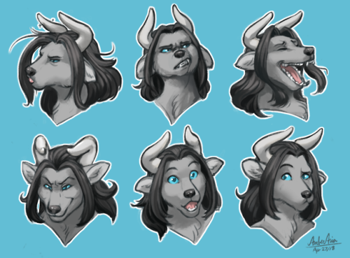 The many faces of the elusive and enthusiastic great horned moof! Gaze at her majesty and possibly b