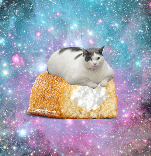 CATANIST