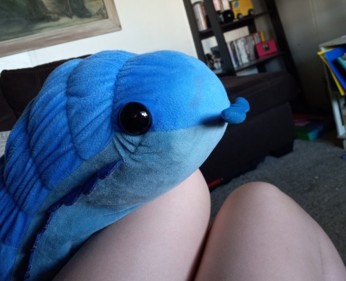Hey Guys Sorry For Not Posting In A While, Life's Been Kinda Rough Lately