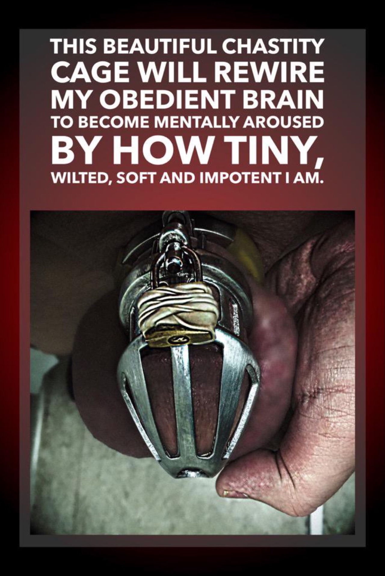 imcagedbywife:  denymepleasure:  I have a Jailbird……locked for 65 days and counting……the
