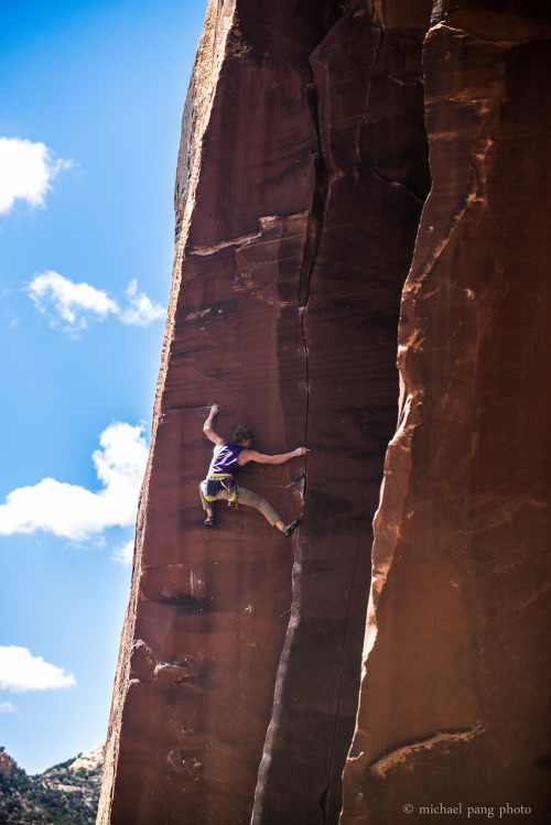 danceofthewoolimasters:nik berry. half shark alligator half man, 5.13a. indian creek, utah. april 20