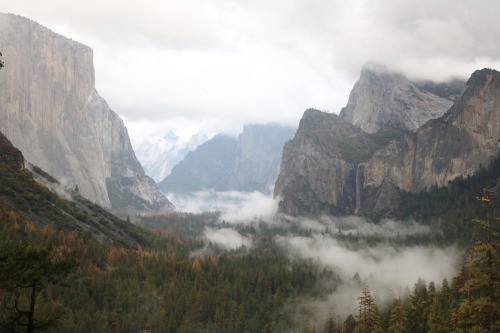 wild-nirvana:  nuhstalgicsoul:  Yosemite, you take my breath away every single time.  + 