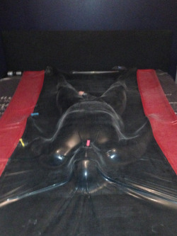 chastityandanal:  Finally got to test drive our vacbed! Better images coming soon!