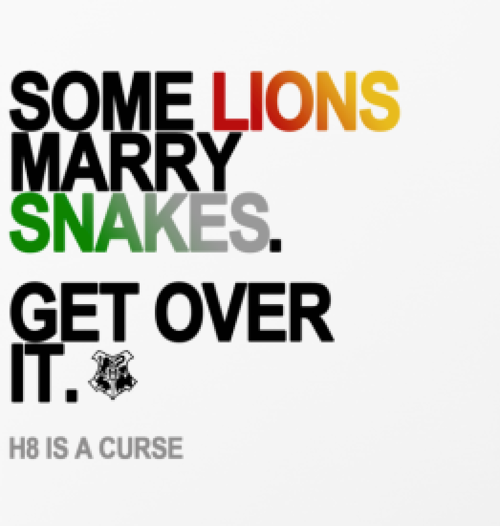 rainbowshadowhunter:I absolutely LOVE this! The HP fandom supporting equal rights - it IS a play on the, “Some chicks marry chicks. Get over it,”  etc campaign. I want this in a T shirt; subtle yet still supportive. :)