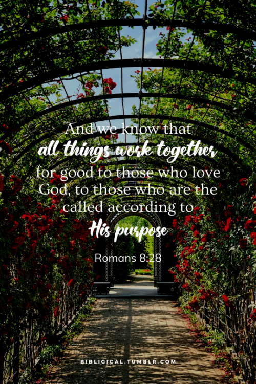 bibligical:And we know that all things work together for good to those who love God, to those who ar