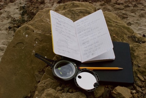 adventurous-watermelon: Working in the field is a wonderful experience. On the central Oregon Coast,