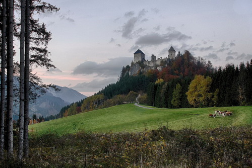 Burgruine Gallenstein, Styria / Austria (by Mack Horton).