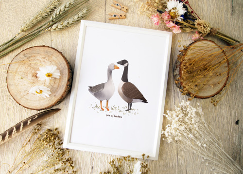 A Pair of Honkers art print in my Etsy shop!https://www.etsy.com/shop/melissajanart