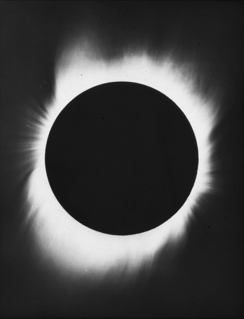 x5079x:Solar Eclipse Expedition, Yerkes Observatory, year 1900