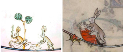 cats as marginalia in medieval manuscripts