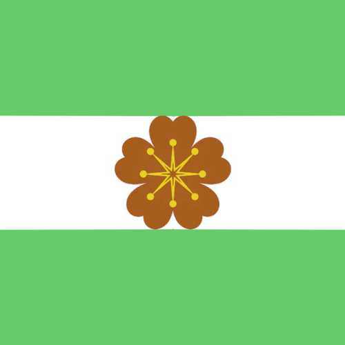 aroaesflags:Diamoric combo flags for anonAro | Aroace | AceOriented Aroace | Angled Aroace | Alloaro