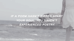 sanellycarmen:       Edgar Allan Poe    + Favorite Literature quotes, for anonymous. 
