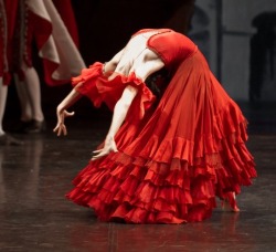 Passion Of The Dance (Olga Semenova In “Don Quixote”)