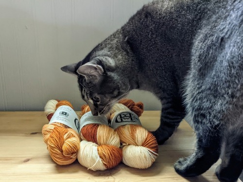 It&rsquo;s here! Pumpkin Cream is available in our online shop. There&rsquo;s only ten skein