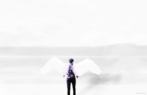 frickphil:i’m an angel with a shotgun… and i’m gonna hide, hide, hide my wings tonight wing src + + 