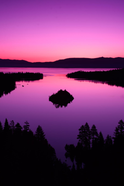 stayfr-sh:  Sunrise In Purple Tones