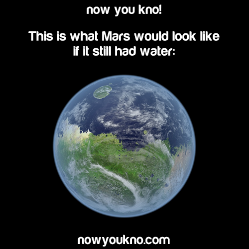 wandererindisguise:  nowyoukno:  Source for more facts like this follow NowYouKno  im mind blown 