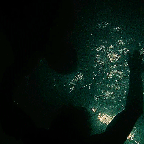 optional:“There’s no gene for fate.”Gattaca (1997) Directed by Andrew Niccol
