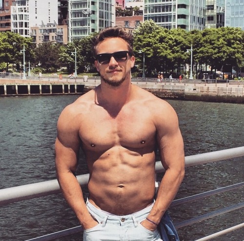 Adonis Files