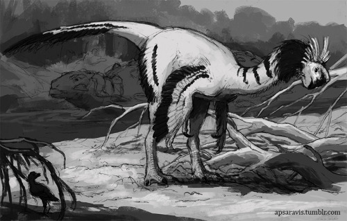 Citipati, Pinacosaurus and Gobipteryx. Pencil sketch with some quick test shading in Photoshop.