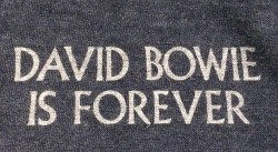 releasethedoves:  printed inside a t-shirt from the bowie exhibit in 2014 