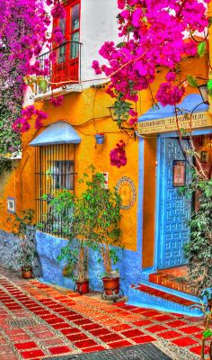 oceanflower2015:Restorante El Pozo Viejo in Marbella, Spain • by : Rui Pajares on Flickr