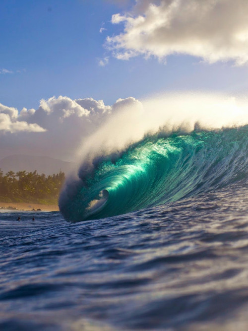 surfsouthafrica: Pipeline unridden. Photo: Quinn Matthews