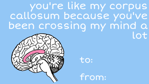 tobeagenius:  valentines day for nerds pt.2 (pt.1)