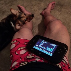 br00taldan:  pupamp:  br00taldan:  This is my actual Friday night. Pup napping on me, in my boxers playing Super Mario Maker… Getting kinda rowdy. Legs feeling big though lol  Dawwwwwww is that a corgi!?!?  yes! That’s my corgi bowser haha :3