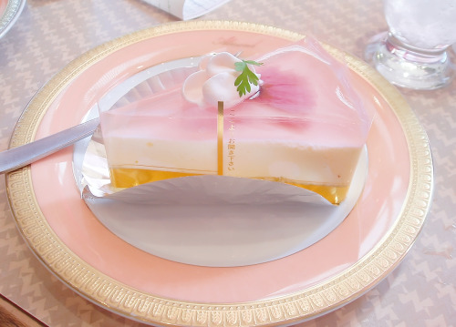t-okimeki:Sakura Cake by (Amy)