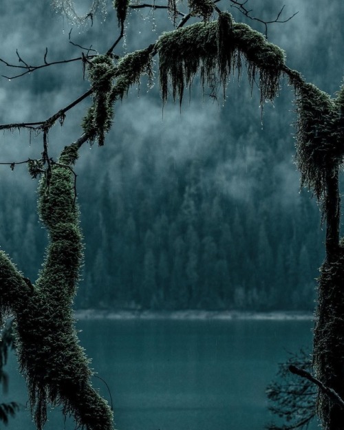fifineller:by Dylan Furst