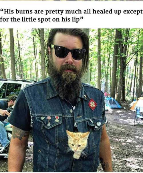 petermorwood:  daemonysh:  This is too much adorableness <3<3<3  I’ll reblog this every time I see it, because there’s something about burly beardy bikers giving help and companionship to a small hurt kitten that makes the world a little