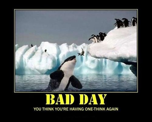 Things could be worse