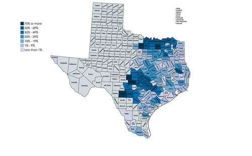 1861 Texas Secession OppositionMap of the opposition to secession by county. You can view the vote t