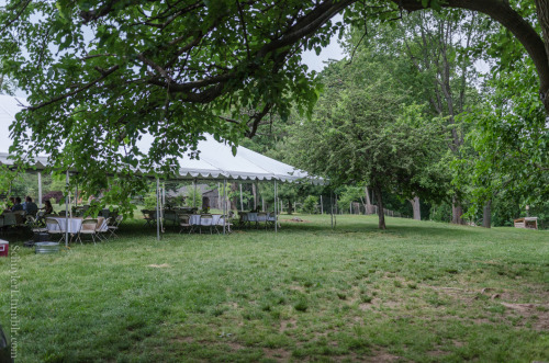 Riverbend Environmental Education Center: Farm to TableJune 2015, Gladwyne, PA By Schuyler LOriginal