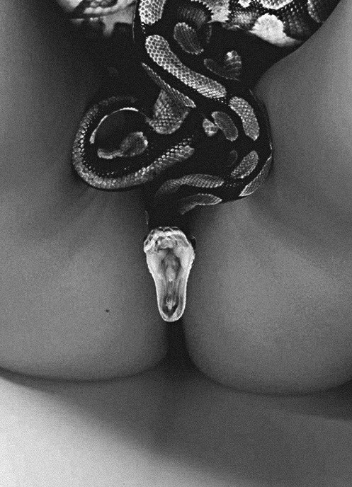 atthat:  More Here | Cock Lovers Here 