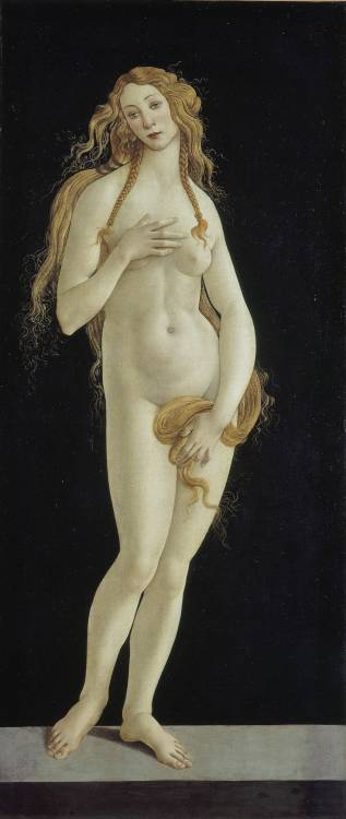 Sandro Botticelli - Venus (c. 1490)