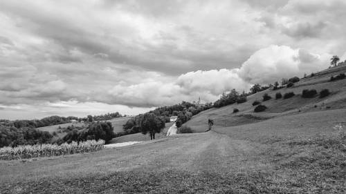 Sv. Miklavz ☁ #Kozjansko #landscape #cloudy #fields #Slovenia