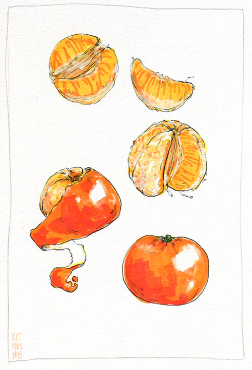 kitmillsdraws:clementines, marker and a bit of gouache.