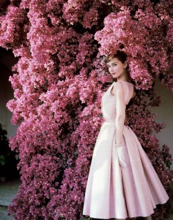 vintageiconography:   Audrey Hepburn | Photography by Norman Parkinson | 1955  