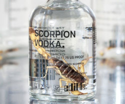 awesomeshityoucanbuy:  Scorpion Infused VodkaSeparate the men from the boys when you play a drinking game topped off with scorpion infused vodka. Each bottle contains premium vodka that distinguishes itself from the rest by its extra ingredient – a