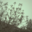 reblogdeletedmylastone